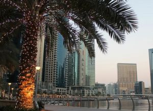 Компании Аджмана увеличили товарооборот с Катаром на 68% в 2023 году